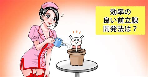 乳首 前立腺|アネロス質問箱：効率の良い前立腺開発法は？ 